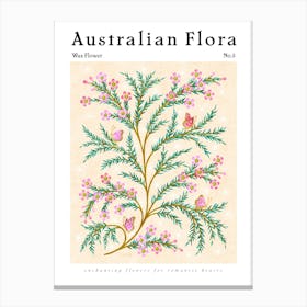 Australian Flora Wax Flower Canvas Print