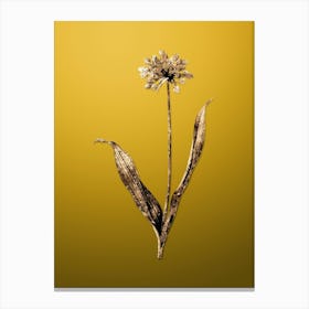 Gold Botanical Golden Garlic on Mango Yellow n.0193 Canvas Print