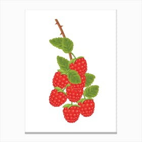 Raspberries On A Branch Canvas Print