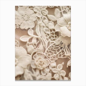 Close Up Of Lace 2 Canvas Print