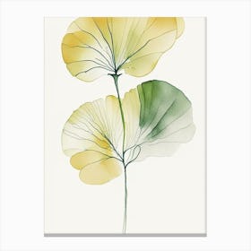 Ginkgo Herb Minimalist Watercolour 1 Canvas Print