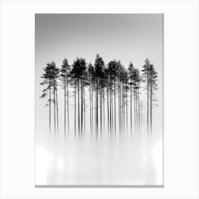 Spruce Forest Canvas Print