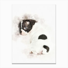 Boston Terrier Pup Dog Canvas Print