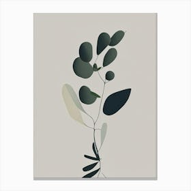 Mistletoe Herb Simplicity Canvas Print