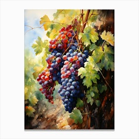 Grapes On The Vine Canvas Print