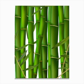 Bamboo Canvas Print