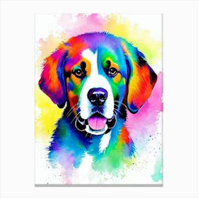 Greater Swiss Mountain Dog Rainbow Oil Painting dog Canvas Print