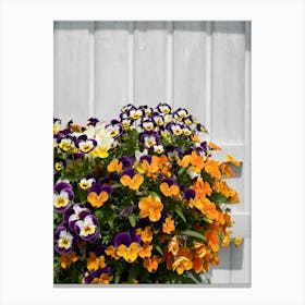Colourful pansies of the summerhouse Canvas Print