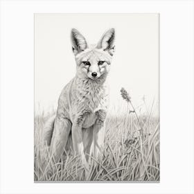 Bengal Fox In A Field Pencil Drawing 4 Canvas Print