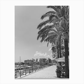 Palm Trees On The Promenade Mallorca Cala Millor Black White Canvas Print