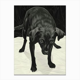 Black Labrador Canvas Print