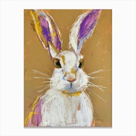 Rabbit 1 Canvas Print