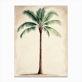 Palm Tree Canvas Print