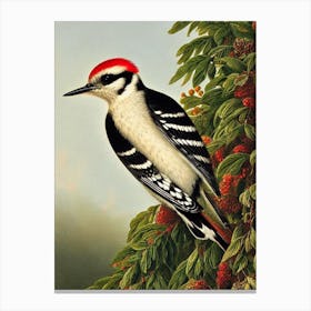 Woodpecker Haeckel Style Vintage Illustration Bird Canvas Print