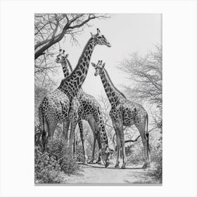 Herd Of Giraffe By The Tree 4 Canvas Print