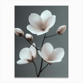 Flowers On A Gray Background Canvas Print