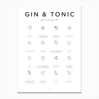 Gin And Tonic Garnishes Minimal Canvas Print
