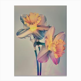 Iridescent Flower Daffodil 2 Canvas Print