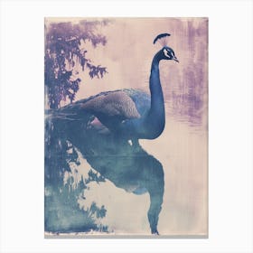 Lilac Cyanotype Inspired Peacock & Reflection Canvas Print
