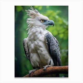 Eagle Eye View: Harpy Eagle Poster Canvas Print