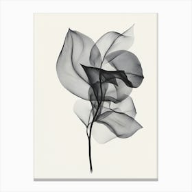 Black And White Leaf Canvas Print