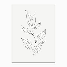 Line Drawing Of A Leaf Canvas Print