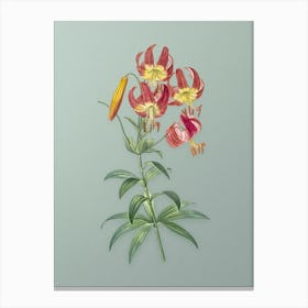 Vintage Turban Lily Botanical Art on Mint Green n.0080 Canvas Print