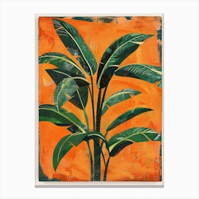 Banana Tree Canvas Print