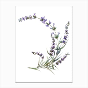 Watercolor Lavender Flower Canvas Print