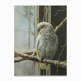 Cockatoo Canvas Print