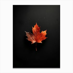 Maple Leaf On Black Background Canvas Print