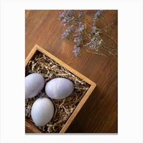 Easter Eggs 149 Canvas Print