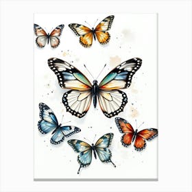 Butterfly Set Canvas Print