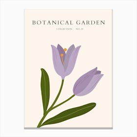 Botanical Garden 6 Canvas Print