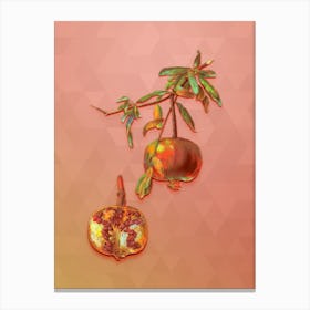 Vintage Pomegranate Botanical Art on Peach Pink Canvas Print