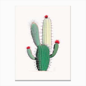 Notocactus Cactus Minimal Line Drawing Canvas Print