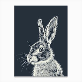 Jersey Wooly Rabbit Minimalist Illustration 2 Canvas Print