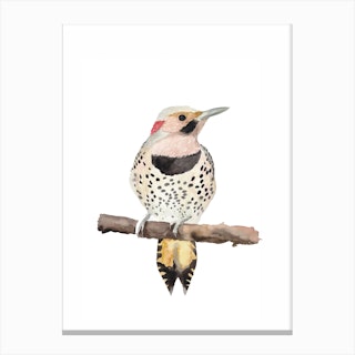 Skandi Bird Canvas Print