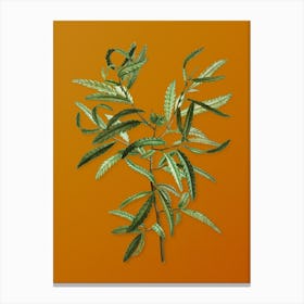 Vintage Sweetfern Botanical on Sunset Orange n.0034 Canvas Print
