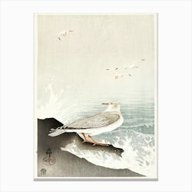 Gull On Rock (1900 1910), Ohara Koson Canvas Print