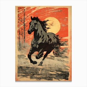 Wild Horse Canvas Print