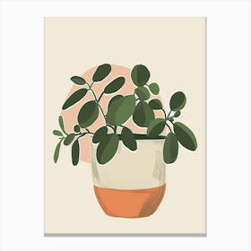 Jade Plant Minimalist Illustration 2 Canvas Print