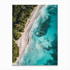 Aerial View Of A Tropical Beach 17 Canvas Print