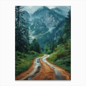 Road In The Mountains 1 Canvas Print