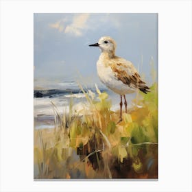Bird Painting Grey Plover 3 Canvas Print