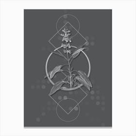 Vintage Sage Plant Botanical with Line Motif and Dot Pattern in Ghost Gray n.0391 Canvas Print