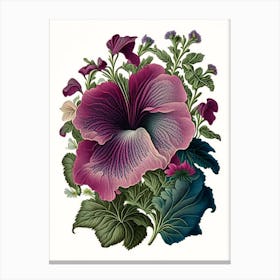 Petunia 2 Floral Botanical Vintage Poster Flower Canvas Print