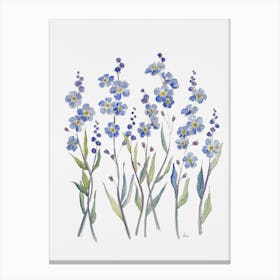 Forget Me Not Flowers Canvas Print