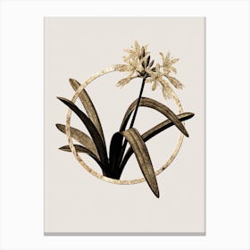 Gold Ring Pancratium Illyricum Glitter Botanical Illustration n.0221 Canvas Print