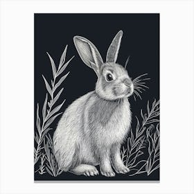 Netherland Dwarf Rabbit Minimalist Illustration 1 Canvas Print